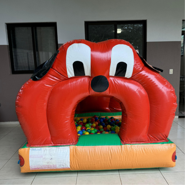 Piscina de Bolinhas Cachorro